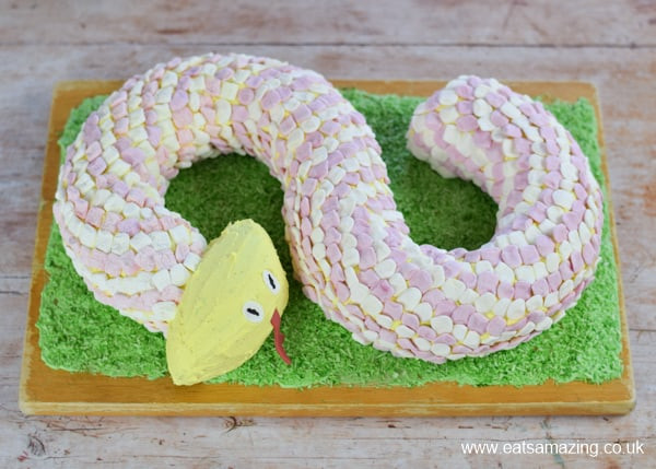 Snake Birthday Cake
 How to Make a Snake Cake Tutorial and Recipe