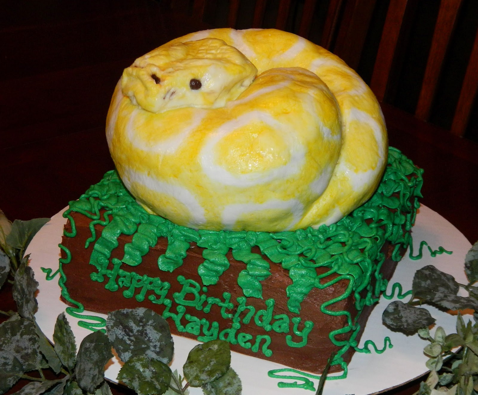Snake Birthday Cake
 Blogger Traci LeBrun Snake Cake and Cake Recipe