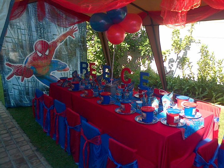 Spiderman Kids Party
 17 Best images about Themes for Boys on Pinterest