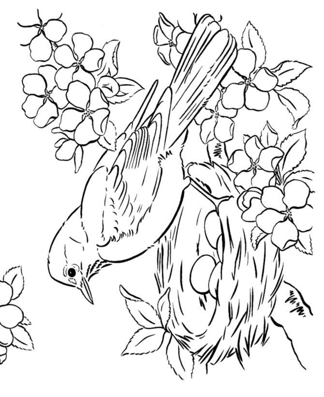 Spring Coloring Pages For Adults
 65 best images about Coloring Seasons Spring & Summer on