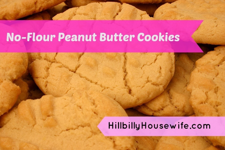 Sugar Cookies Without Flour
 Peanut Butter Cookie Recipe Without Flour Hillbilly