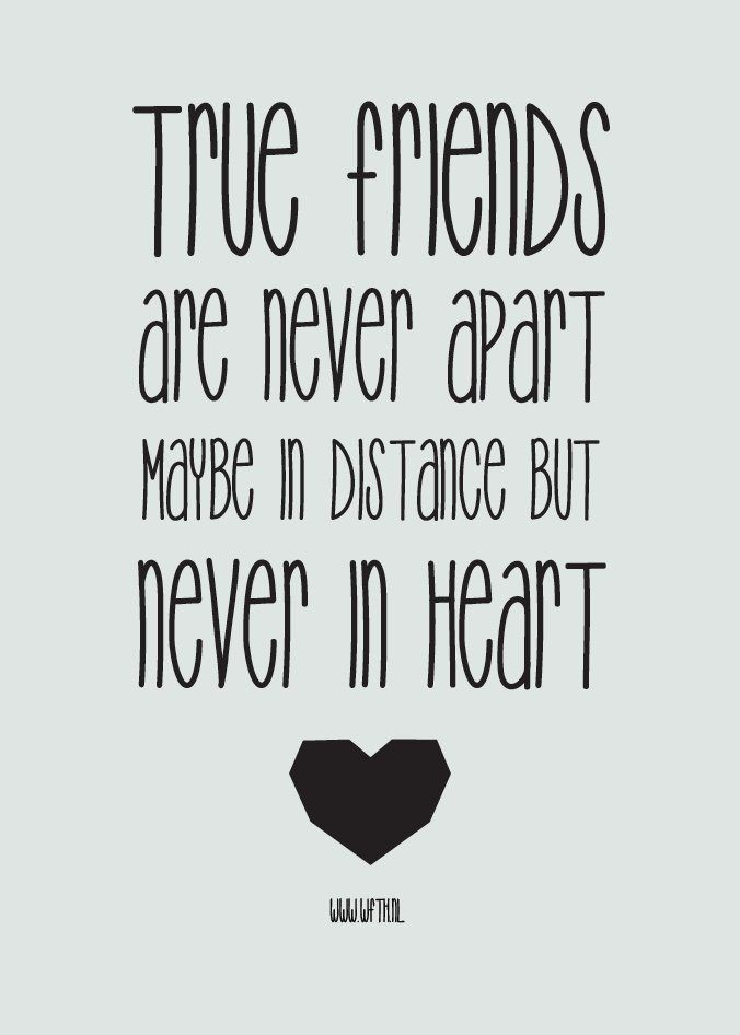 Sweet Quotes For Friendship
 Top 20 Cute Friendship Quotes