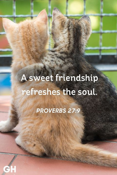 Sweet Quotes For Friendship
 25 Short Friendship Quotes for Best Friends Cute Sayings