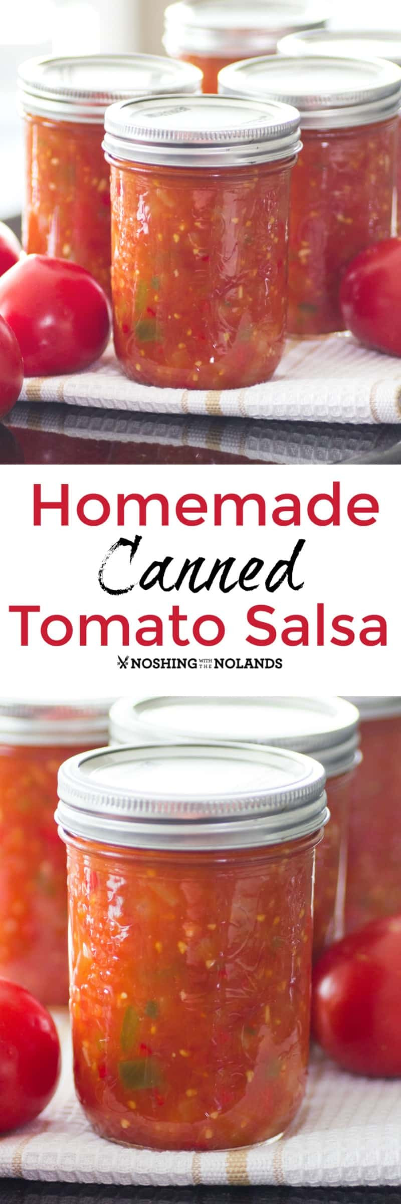 Sweet Salsa Recipe For Canning
 Homemade Canned Tomato Salsa is the best with fresh summer