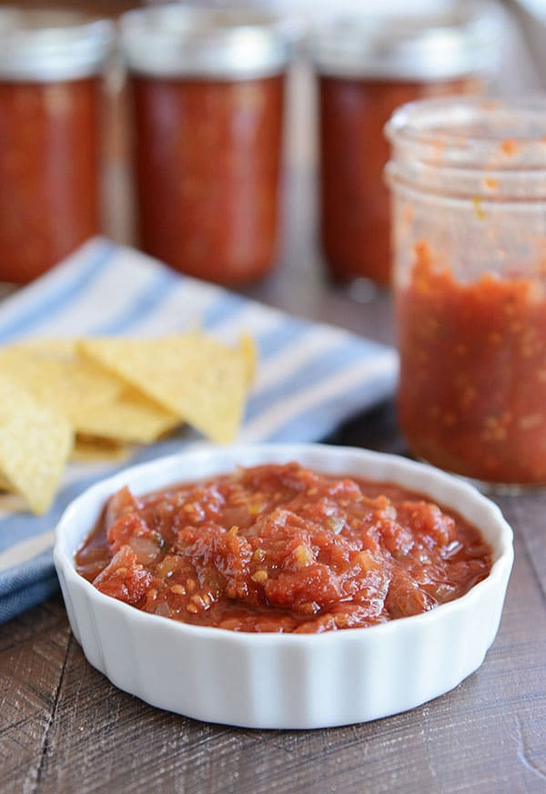 Sweet Salsa Recipe For Canning
 The Best Homemade Salsa Fresh or For Canning Mel s