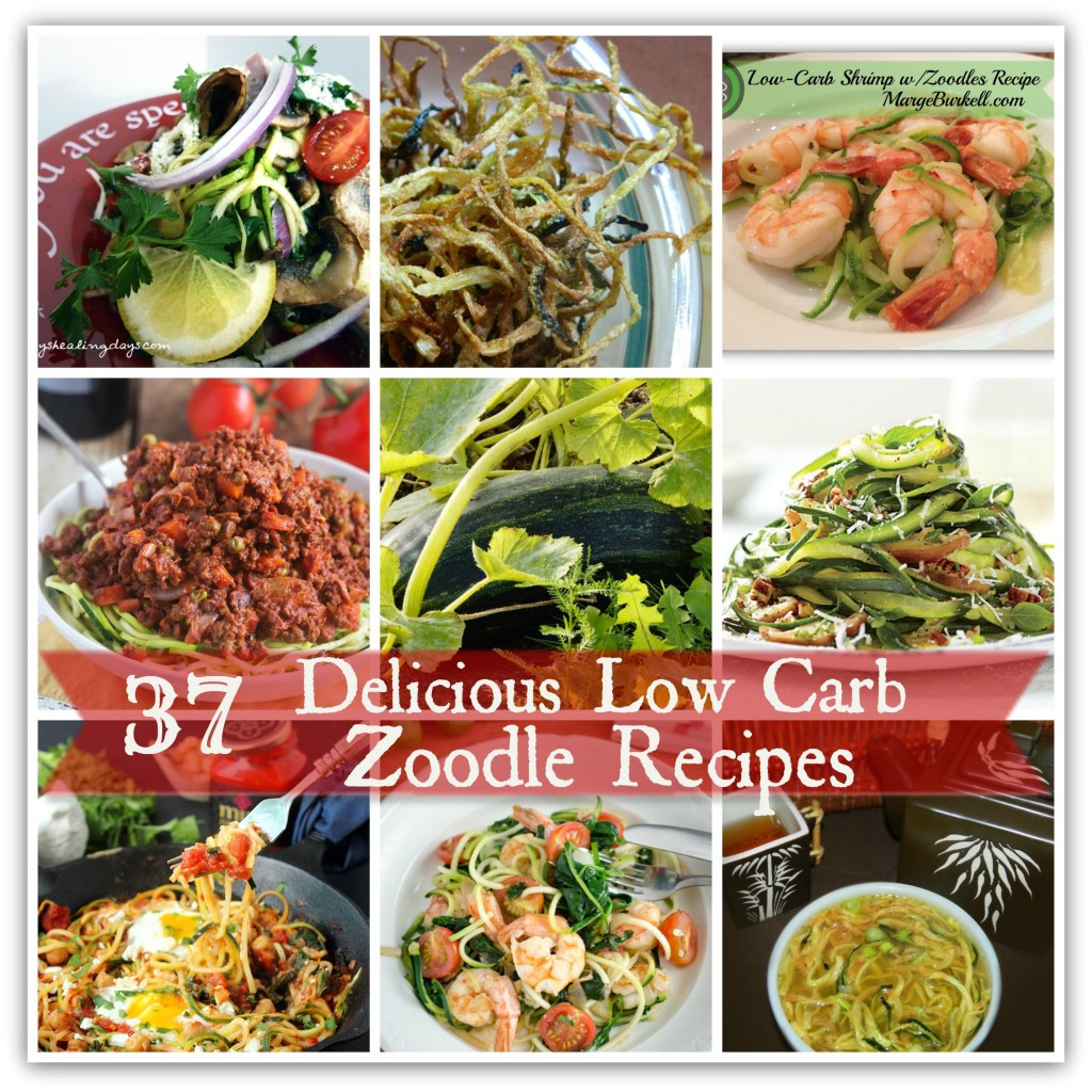 Tasty Low Carb Recipes
 37 Delicious Low Carb Zoodle Recipes SKINNY on LOW CARB