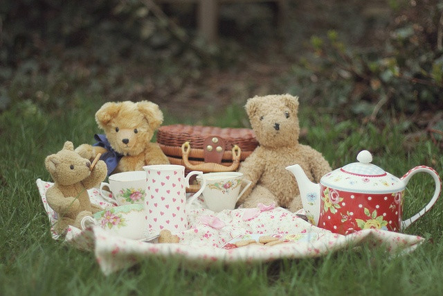 Teddy Bear Tea Party Ideas
 teddy bear tea party picnic Tender Teddy s