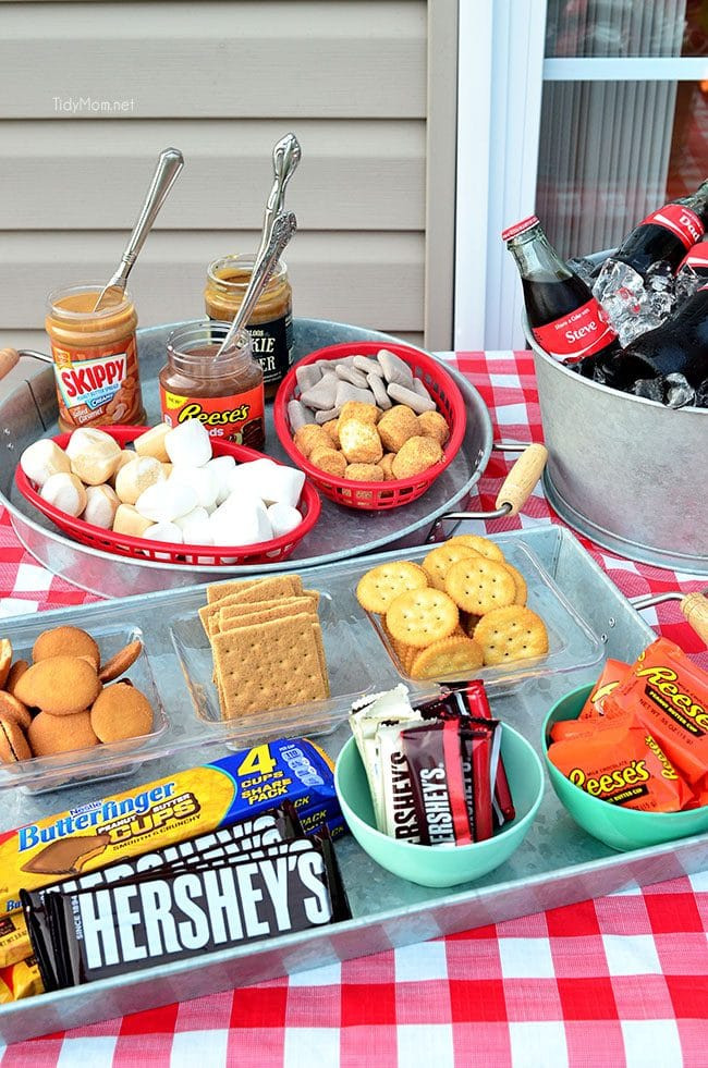 Teenage Birthday Party Food Ideas
 Gourmet S mores Party