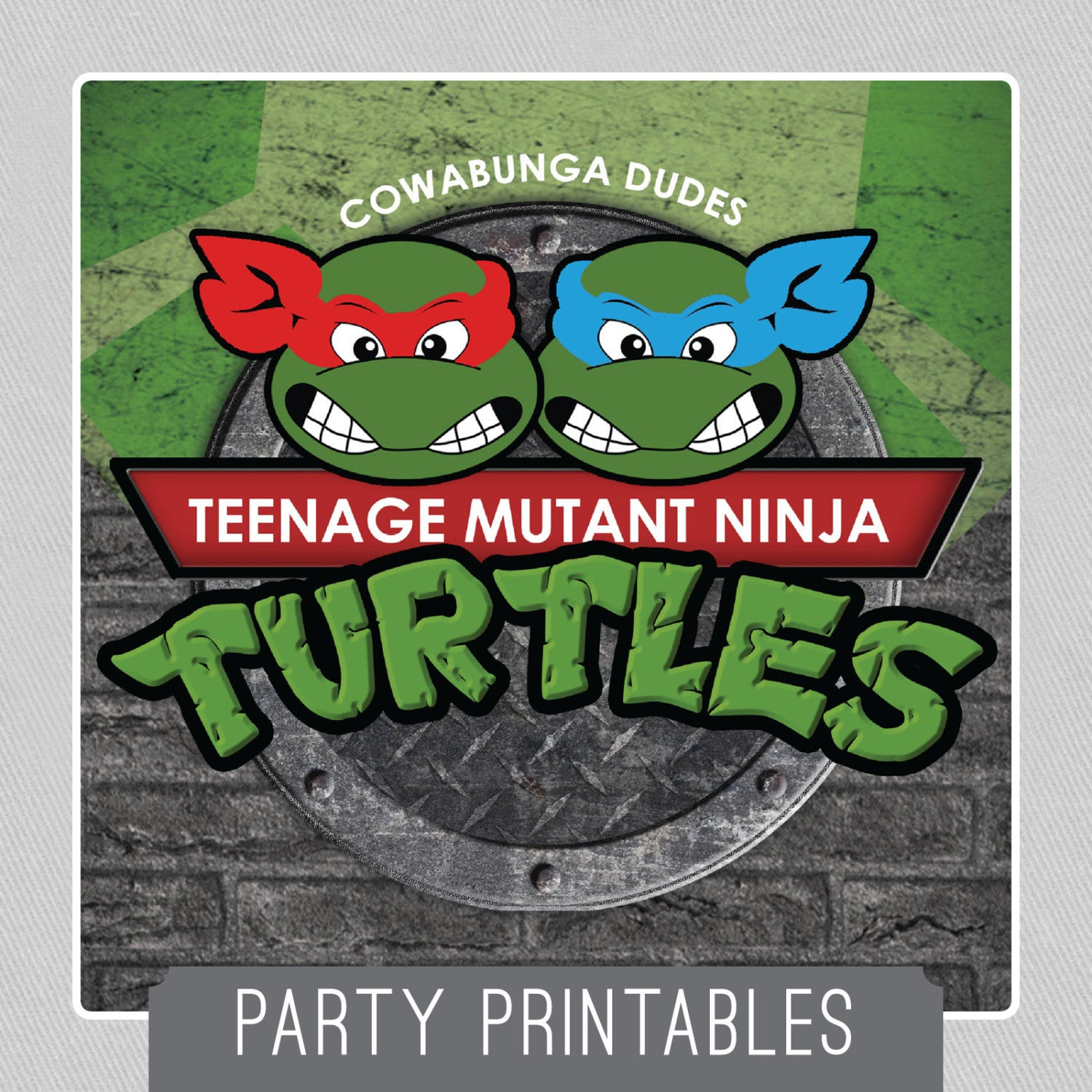 Teenage Mutant Ninja Turtles Birthday Party
 Teenage Mutant Ninja Turtle TMNT PARTY Package INSTANT