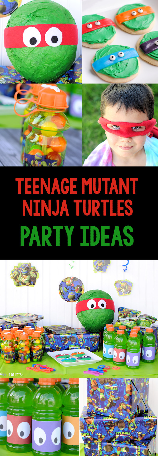Teenage Mutant Ninja Turtles Birthday Party
 Teenage Mutant Ninja Turtle Party Ideas