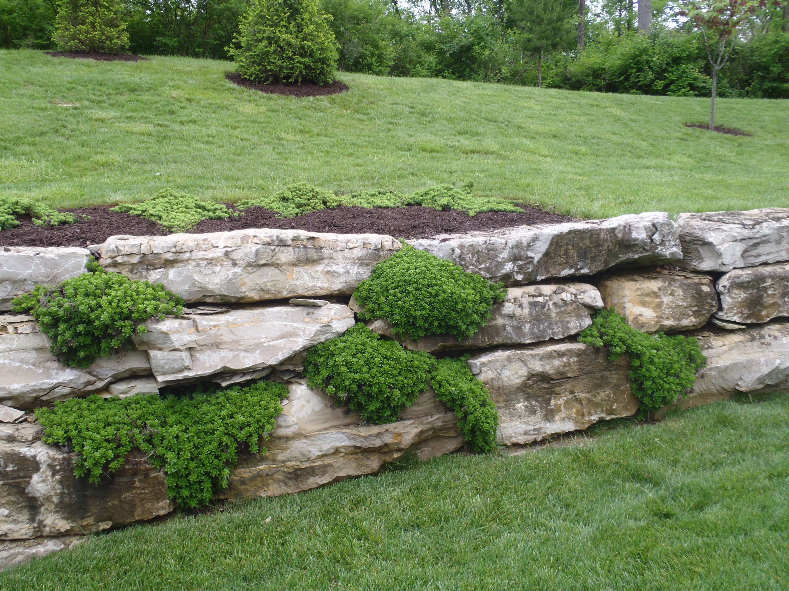 Terrace Landscape With Boulders
 boulder meets timber retaining wall Google Search