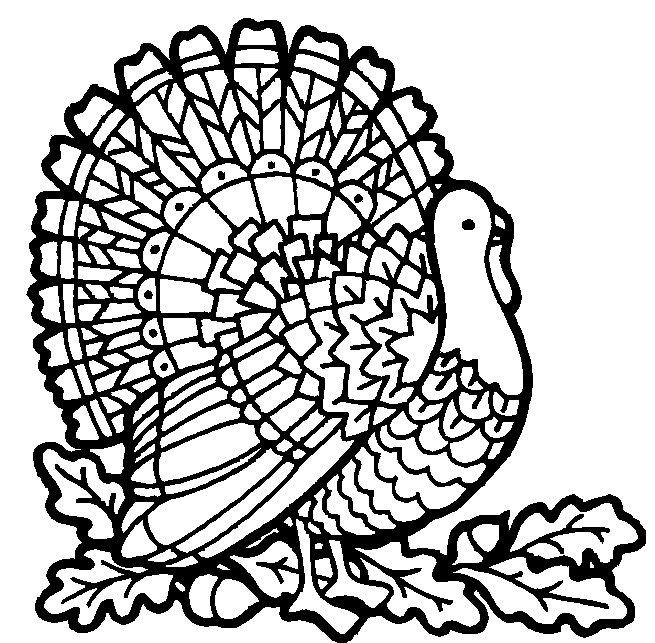 Thanksgiving Adult Coloring Pages
 transmissionpress Thanksgiving Coloring Pages for Kids