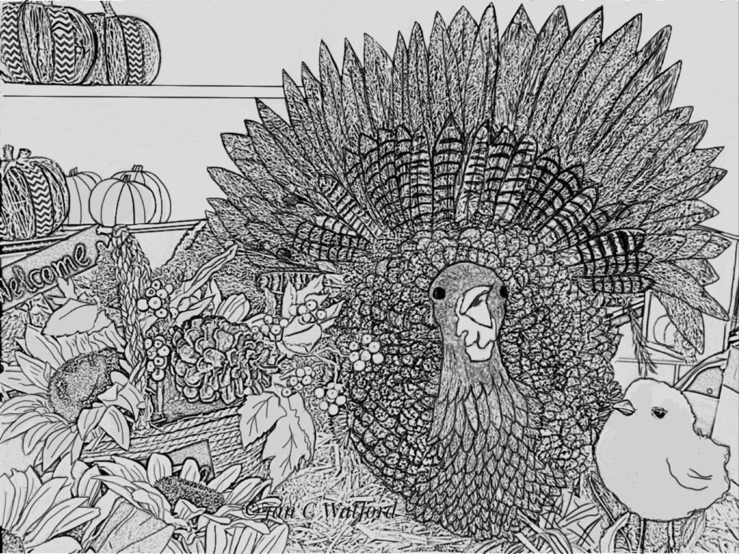 Thanksgiving Adult Coloring Pages
 Thanksgiving Turkey Adult Coloring Pages Coloring Page Gray