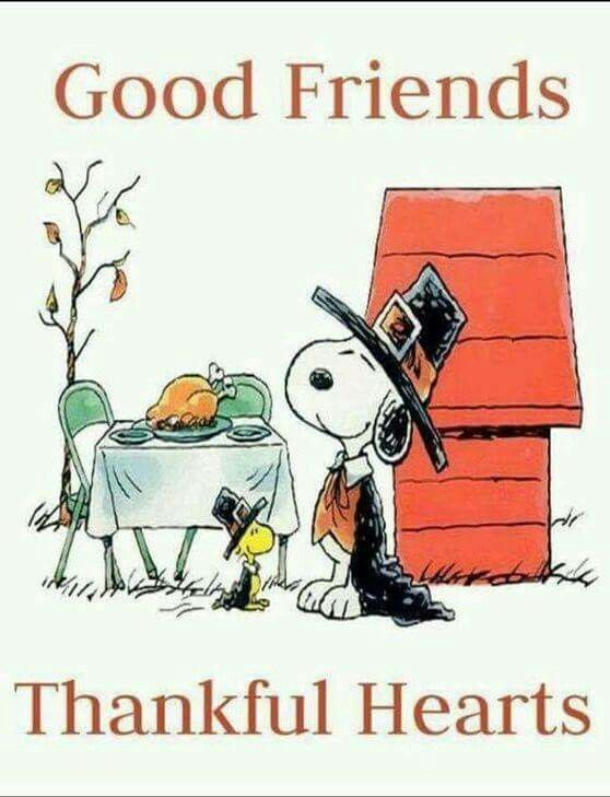 Thanksgiving Quotes Snoopy
 51 best Peanuts Thanksgiving images on Pinterest
