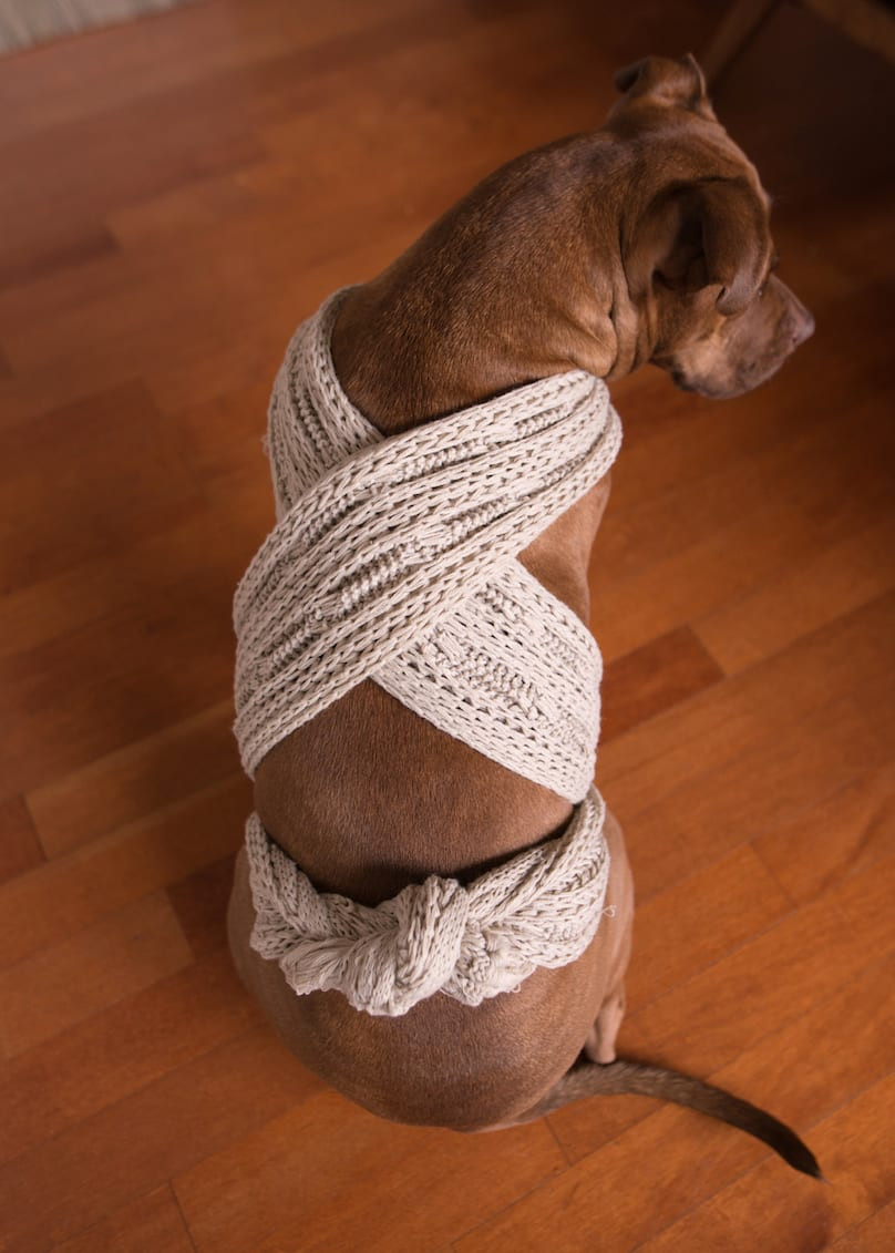 Thunder Wrap For Dogs DIY
 How Do I Make a DIY Anxiety Wrap To Help My Nervous Dog