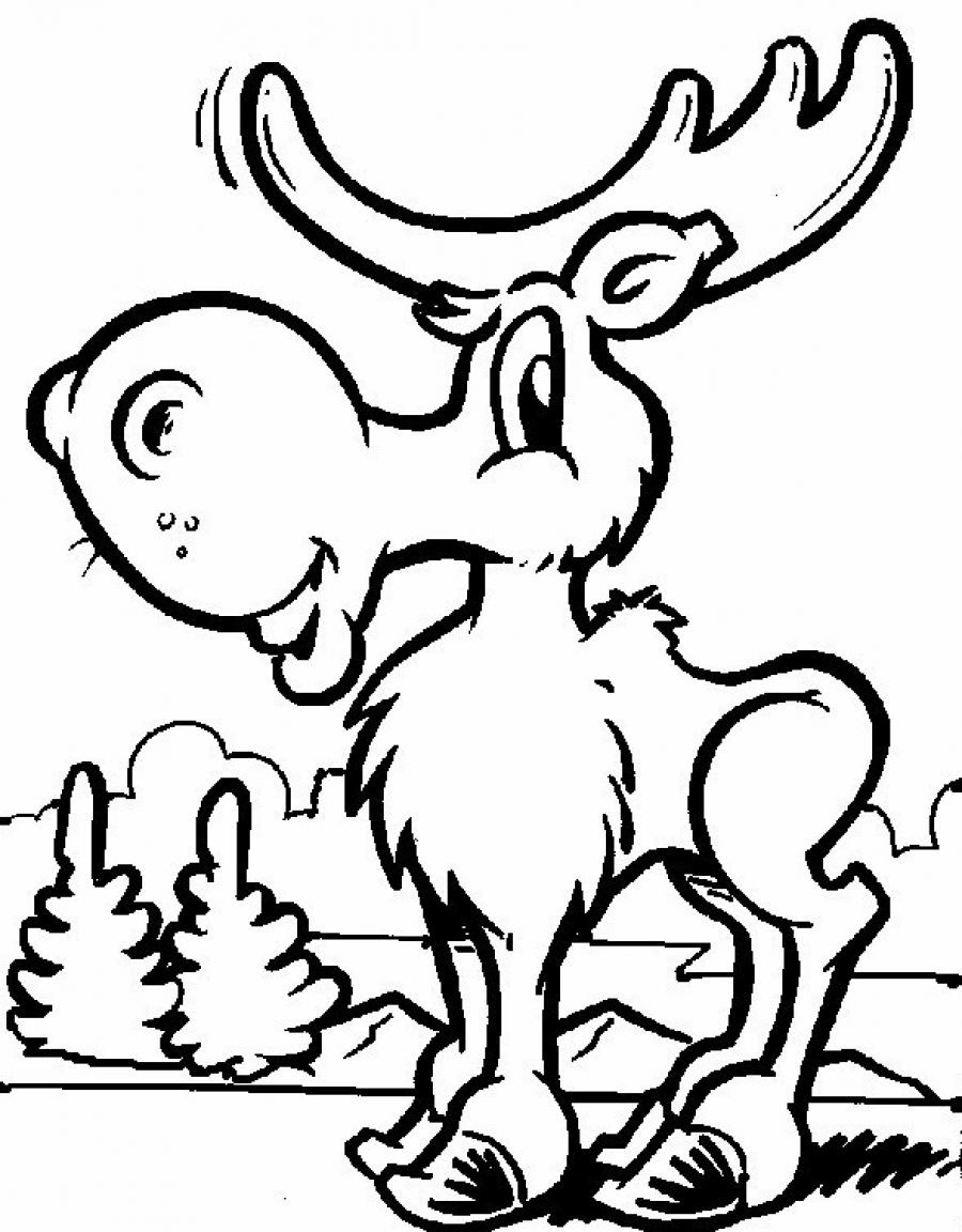Toddler Coloring Pages Printable
 Free Printable Moose Coloring Pages For Kids