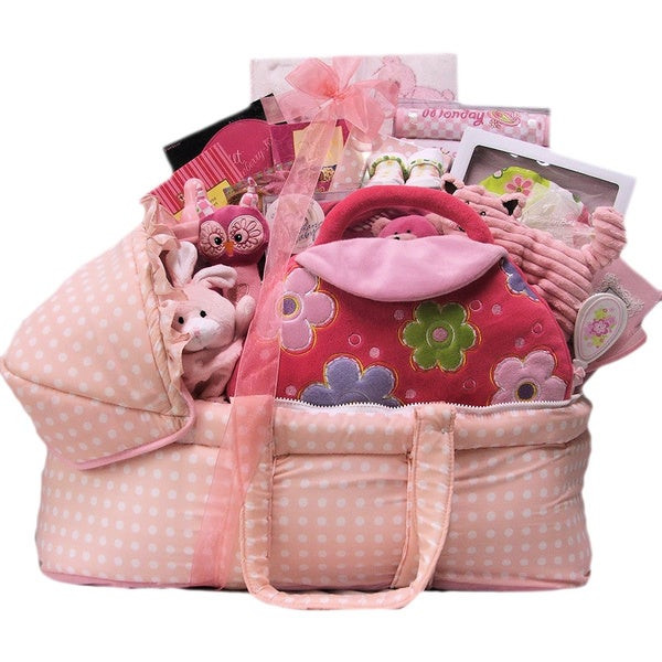 Top Baby Girl Gifts
 Great Arrivals Best Wishes Baby Girl Gift Basket