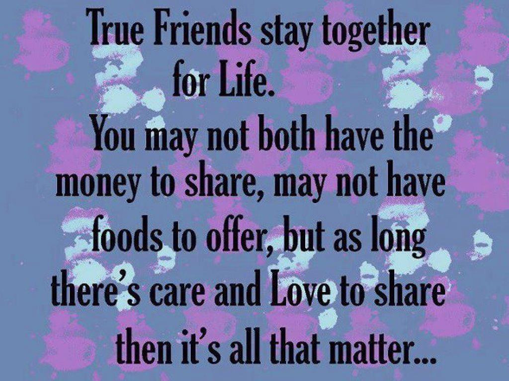 Top Friendship Quotes
 25 Heart Touching Best Friend Quotes and sayings