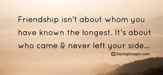 Top Friendship Quotes
 Top 20 Best Friendship Quotes with