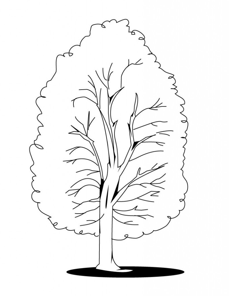 Tree Coloring Pages For Kids
 Free Printable Tree Coloring Pages For Kids