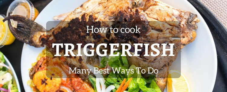 Trigger Fish Recipes
 How To Cook Triggerfish You ve Got Many Best Ways To Do So