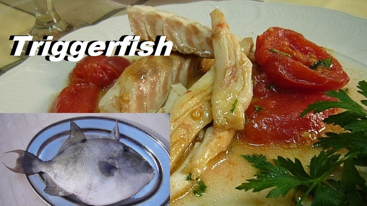 Trigger Fish Recipes
 How do you Cook Triggerfish How to Clean Triggerfish