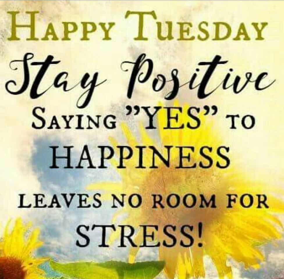 Tuesday Motivational Quotes
 Happy Tuesday Good Morning Tuesday Quotes Messages