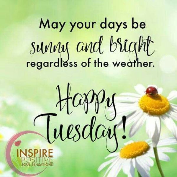 Tuesday Motivational Quotes
 Happy Tuesday Quotes and