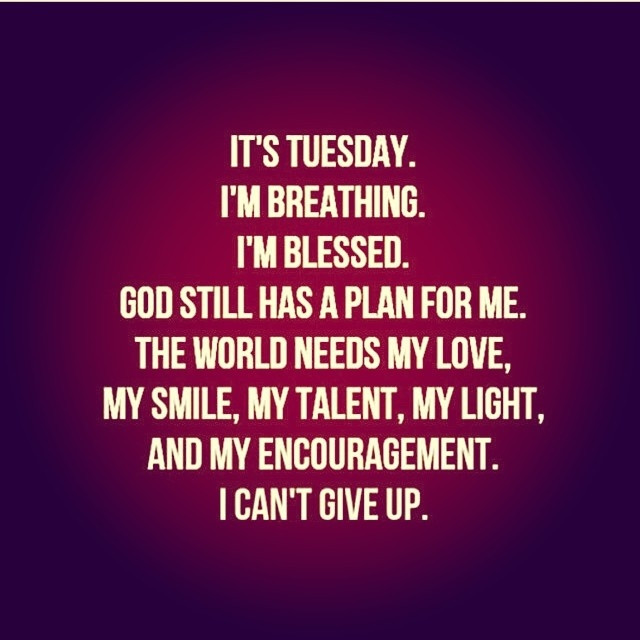 Tuesday Motivational Quotes
 Happy Tuesday Motivational Quotes QuotesGram