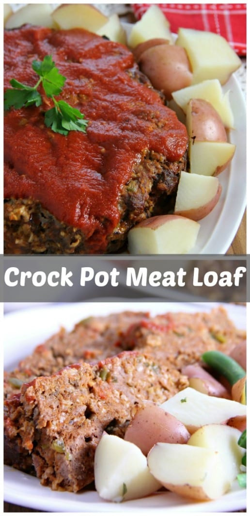 Turkey Meatloaf Crock Pot
 Crock Pot Meatloaf Cooking With Ruthie