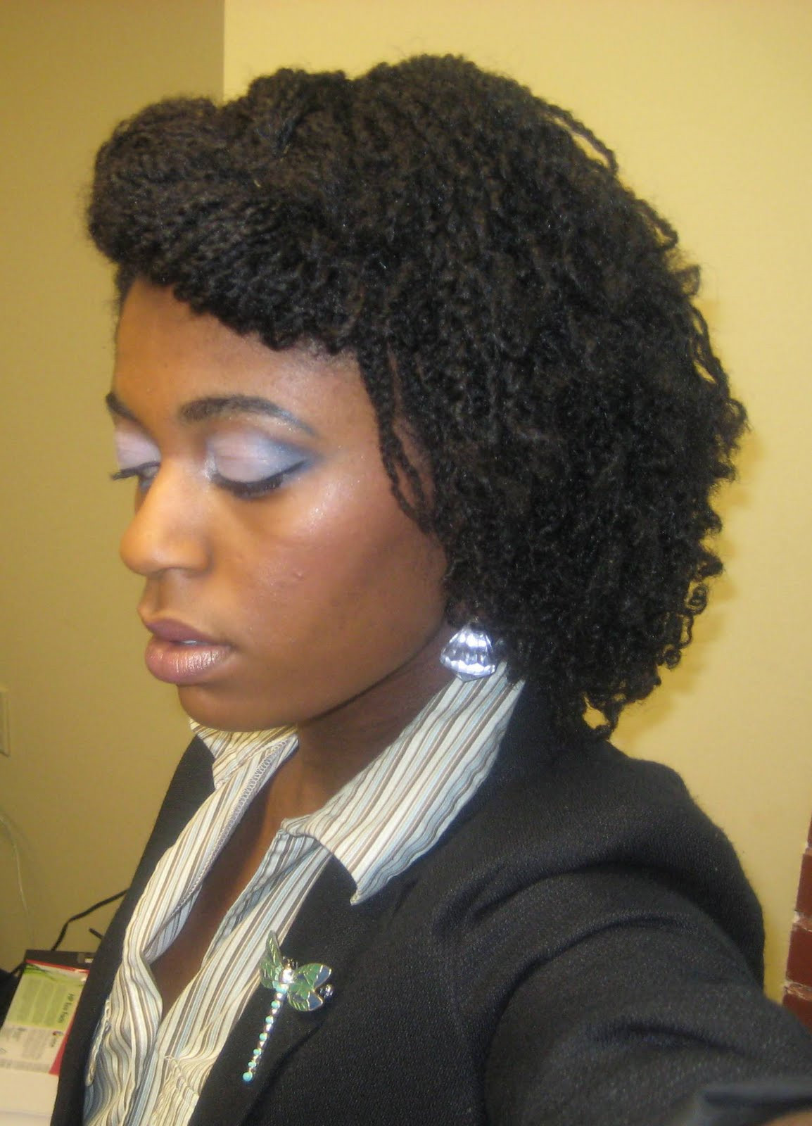 Twist Natural Hairstyles
 Naturally Elegant Hairstyle Mini Twists