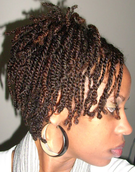 Twists Hairstyles For Black Hair
 natural two strand twists for black hair