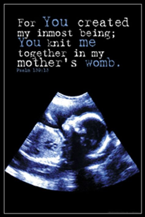 Unborn Baby Quotes And Sayings
 Unborn Baby Quotes QuotesGram