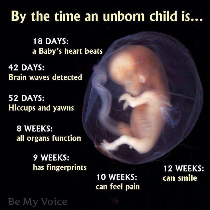 Unborn Baby Quotes And Sayings
 Daddy Quotes For Unborn Baby QuotesGram