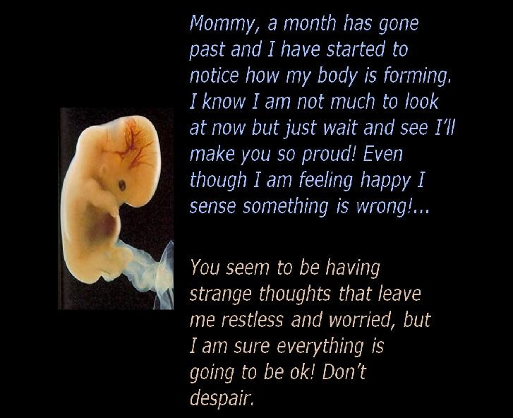 Unborn Baby Quotes And Sayings
 Baby Quotes Baby Sayings