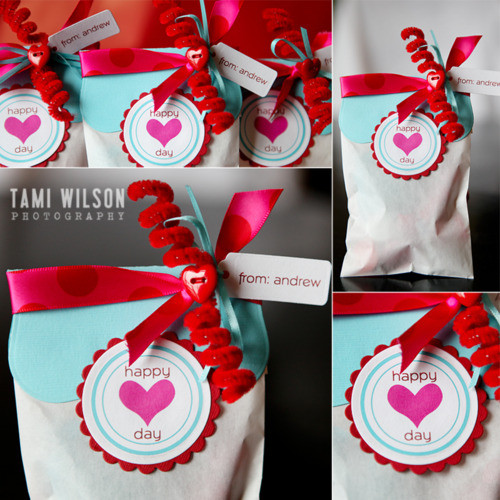 Valentine Day Gift Bags Ideas
 It s Written on the Wall Freebies DIY Clever Valentines