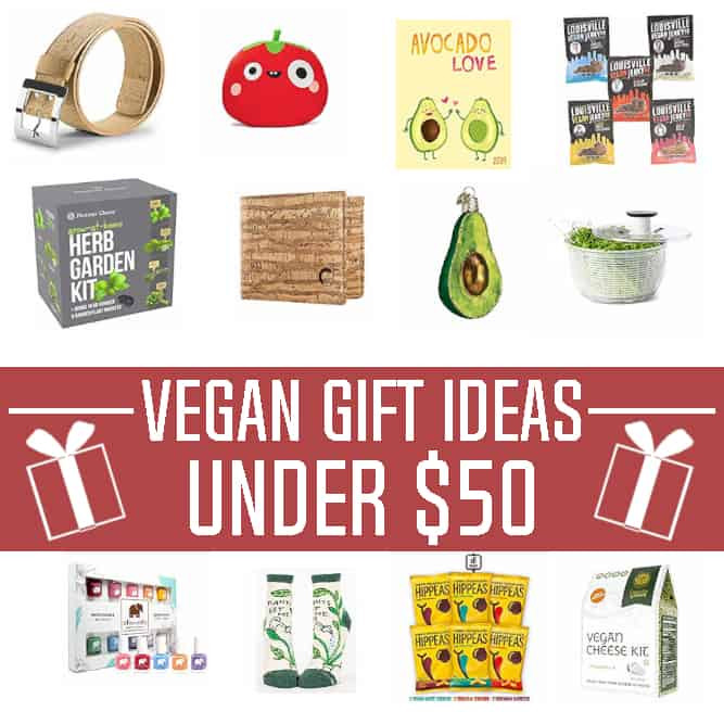 Vegan Christmas Gift Ideas
 Holiday Vegan Gift Ideas Under $50 Vegan Huggs