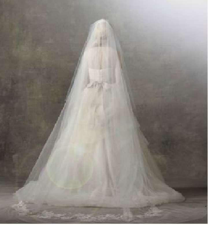 Vera Wang Wedding Veils
 Vera Wang Two tier Chapel Length Veil With Lace Applique