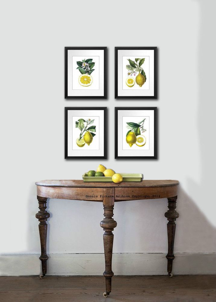 Wall Art For The Kitchen
 Kitchen Wall Decor Antique Botanical Print SET OF 4