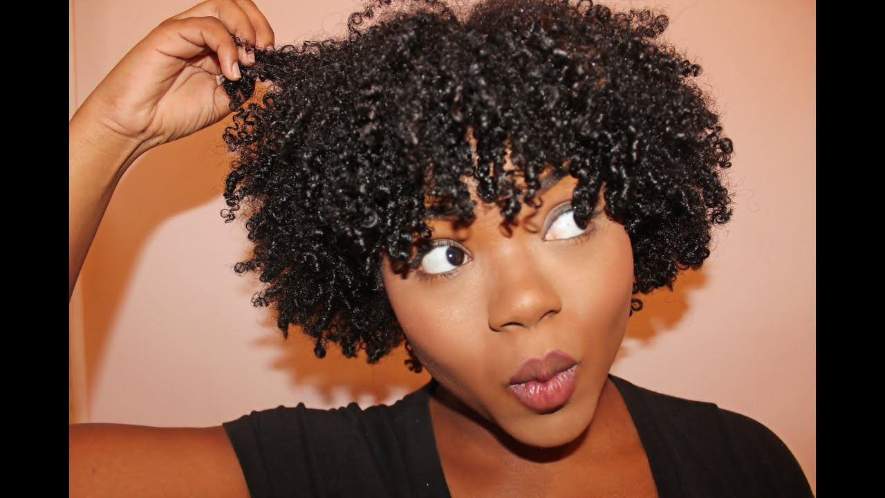 Wash And Go Hairstyles For Short Natural Hair
 Wash N Go Fro for Short Natural Hair
