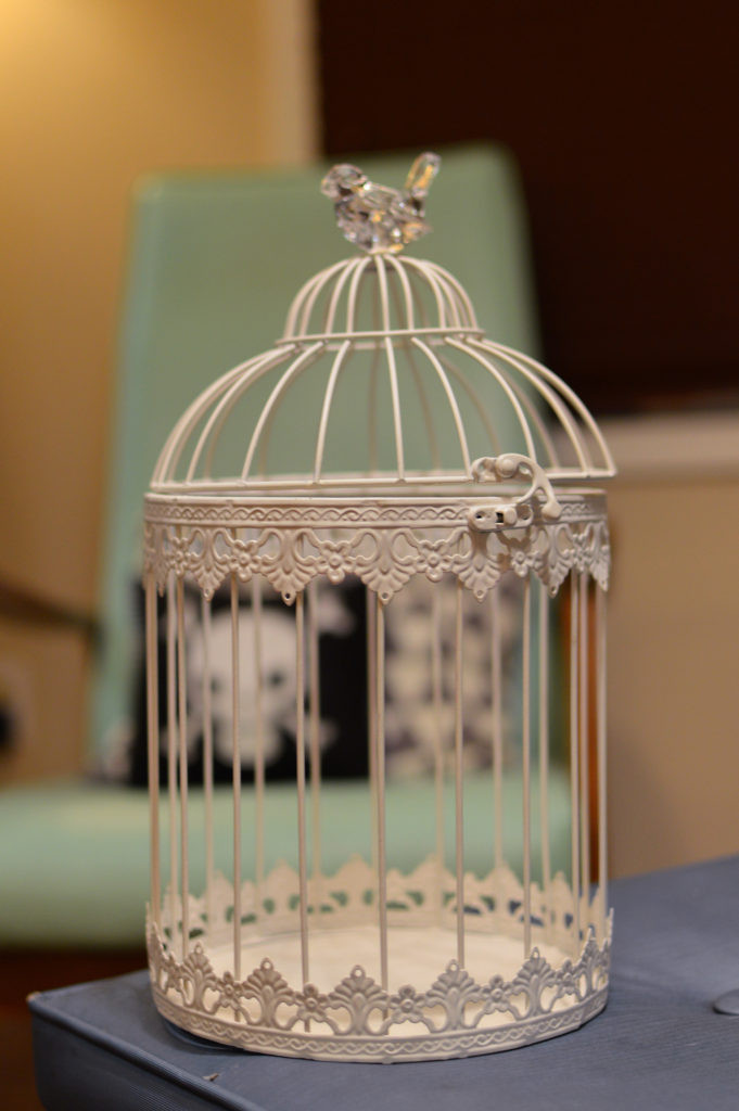 Wedding Decor Resale Website
 Wedding Card Birdcage into Spooky DIY Halloween