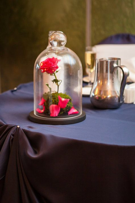Wedding Decor Resale Website
 17 Best images about Disney Beauty and the Beast party on