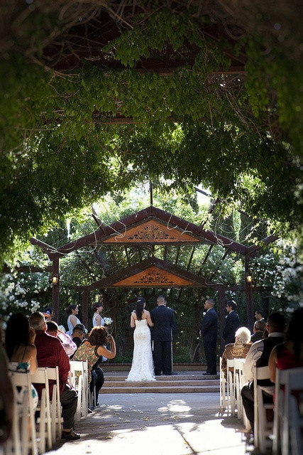 Wedding Venues In Albuquerque
 26 best Albuquerque Botanical Gardens Wedding Venue images
