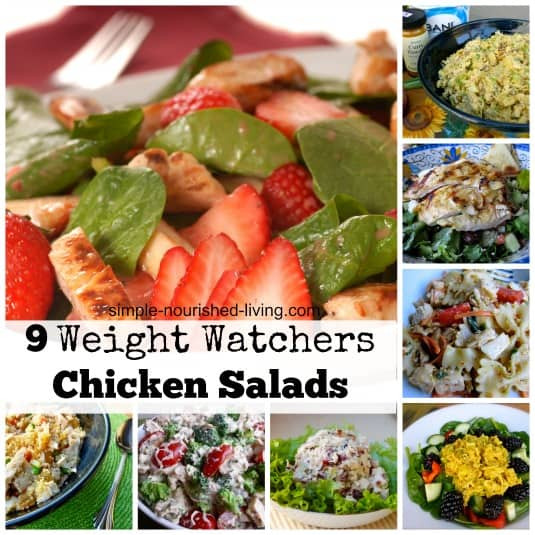 Weight Watcher Chicken Salad Recipes
 Weight Watchers Chicken Salad Recipes free points plus