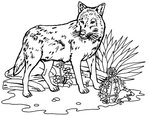 Wolf Coloring Pages Printable
 Wild Animal " Wolf " Printable Coloring Pages
