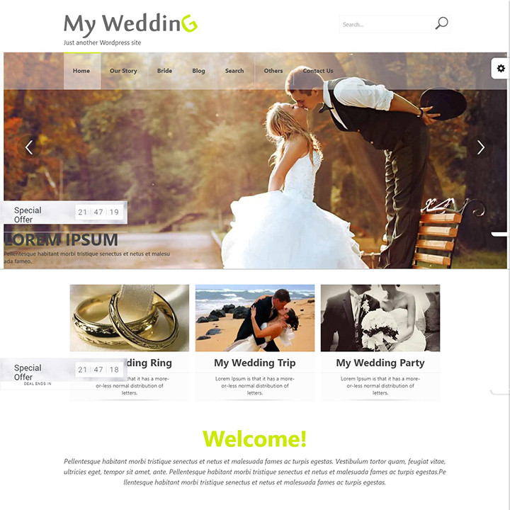 Wp Wedding Themes
 20 Elegant and Chic Best Free Wedding WordPress Themes For