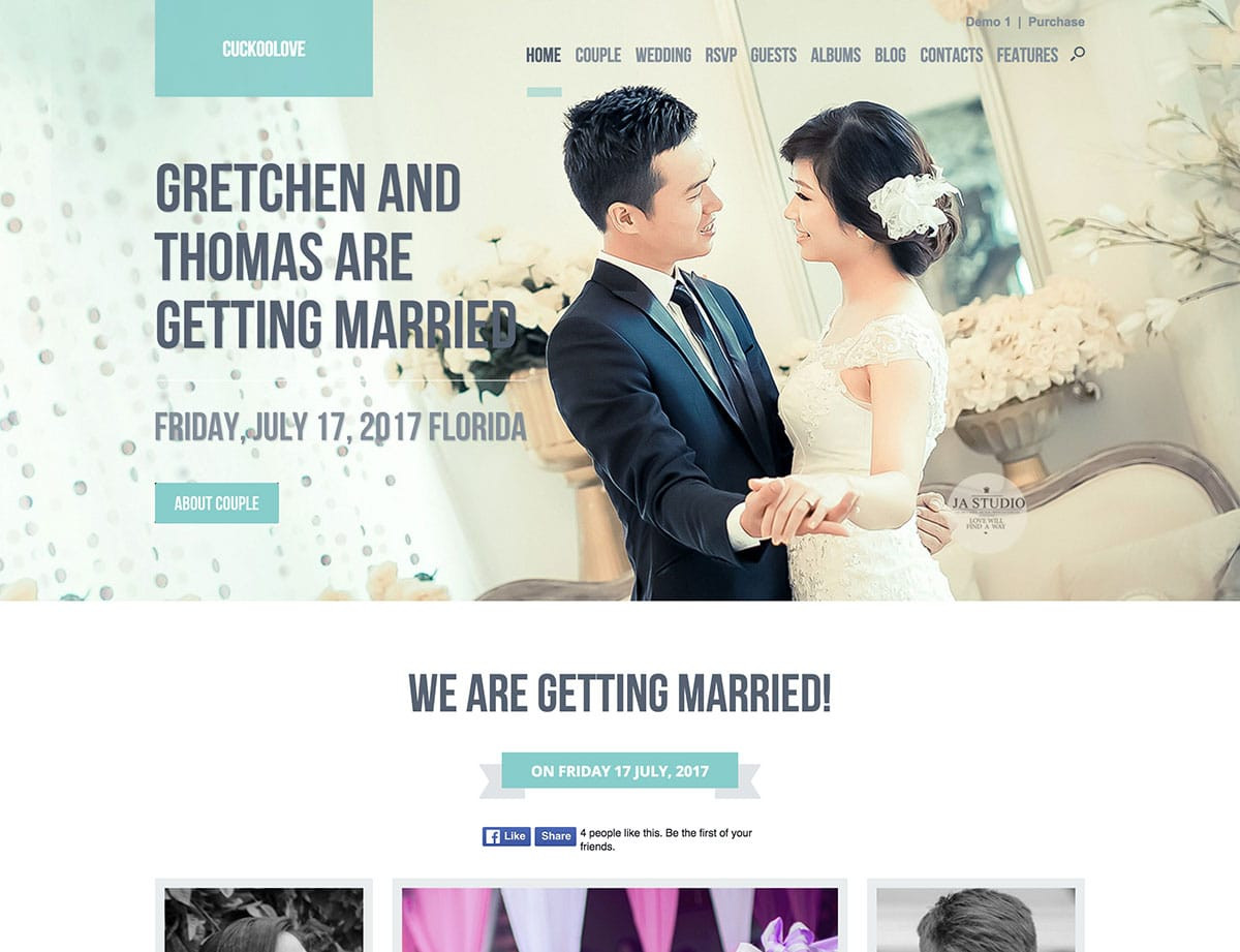 Wp Wedding Themes
 34 Best Wedding WordPress Themes 2016 aThemes