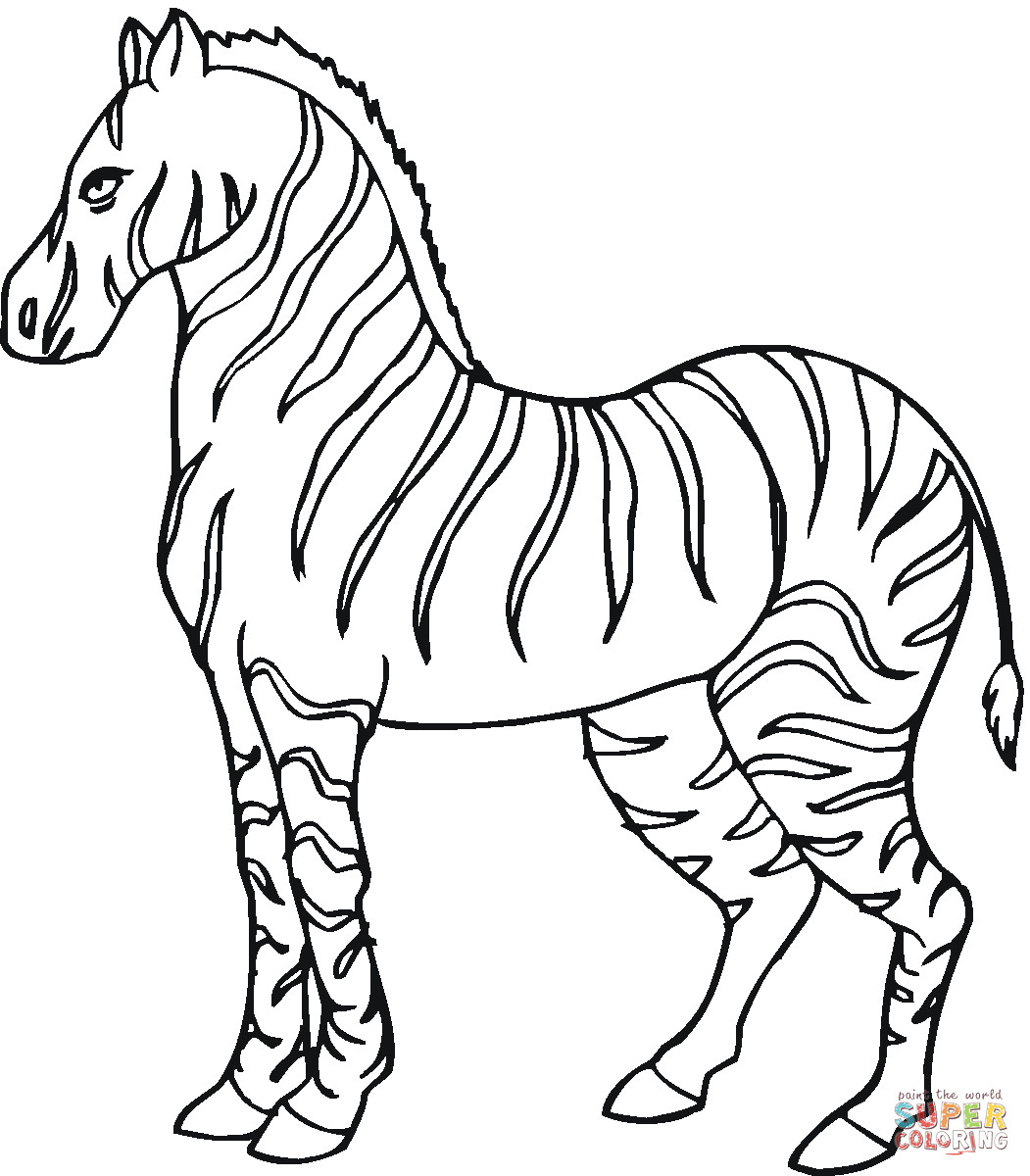 Zebra Coloring Pages Printable
 Zebra 6 coloring page