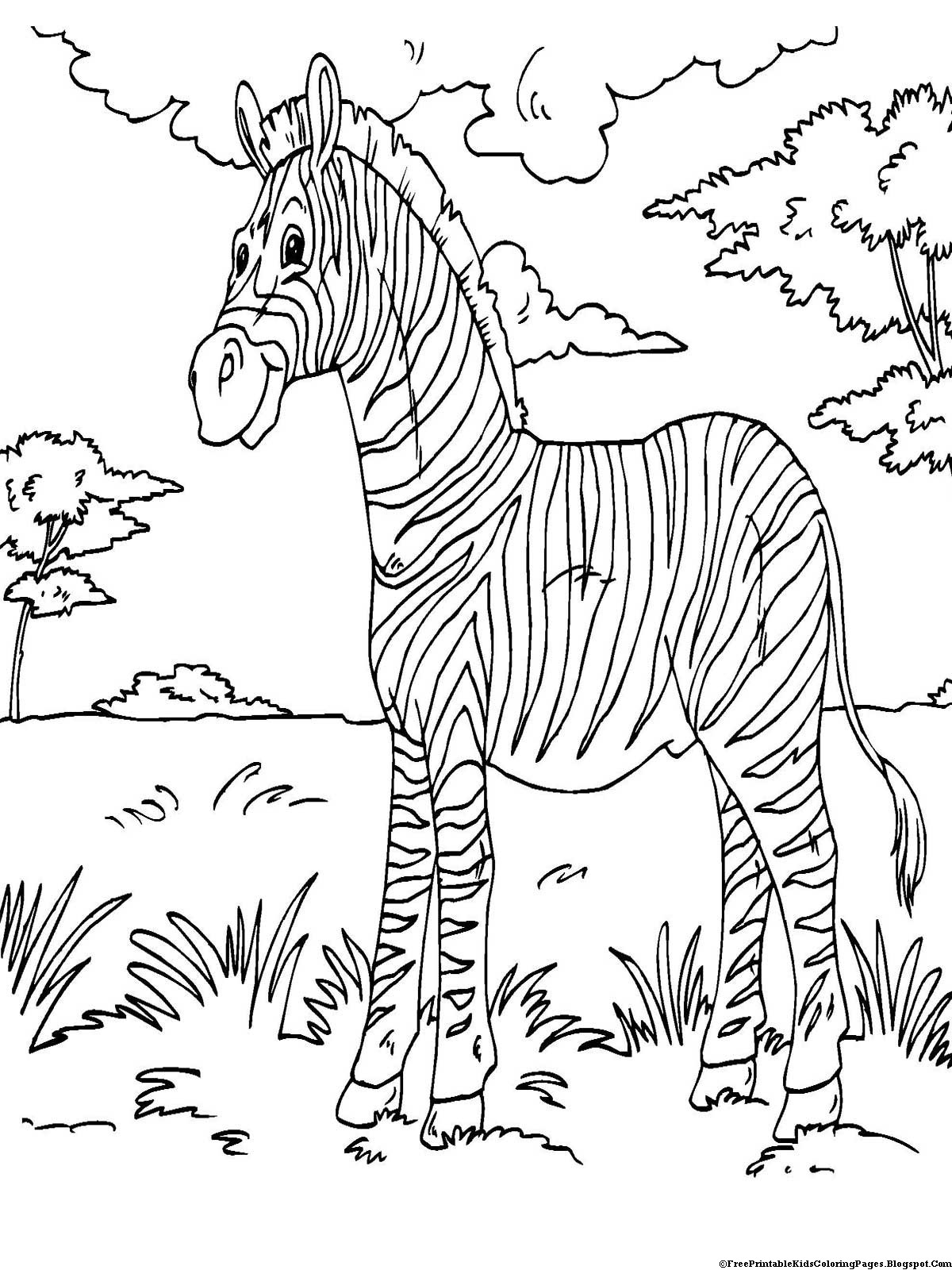 Zebra Coloring Pages Printable
 Zebra Coloring Pages