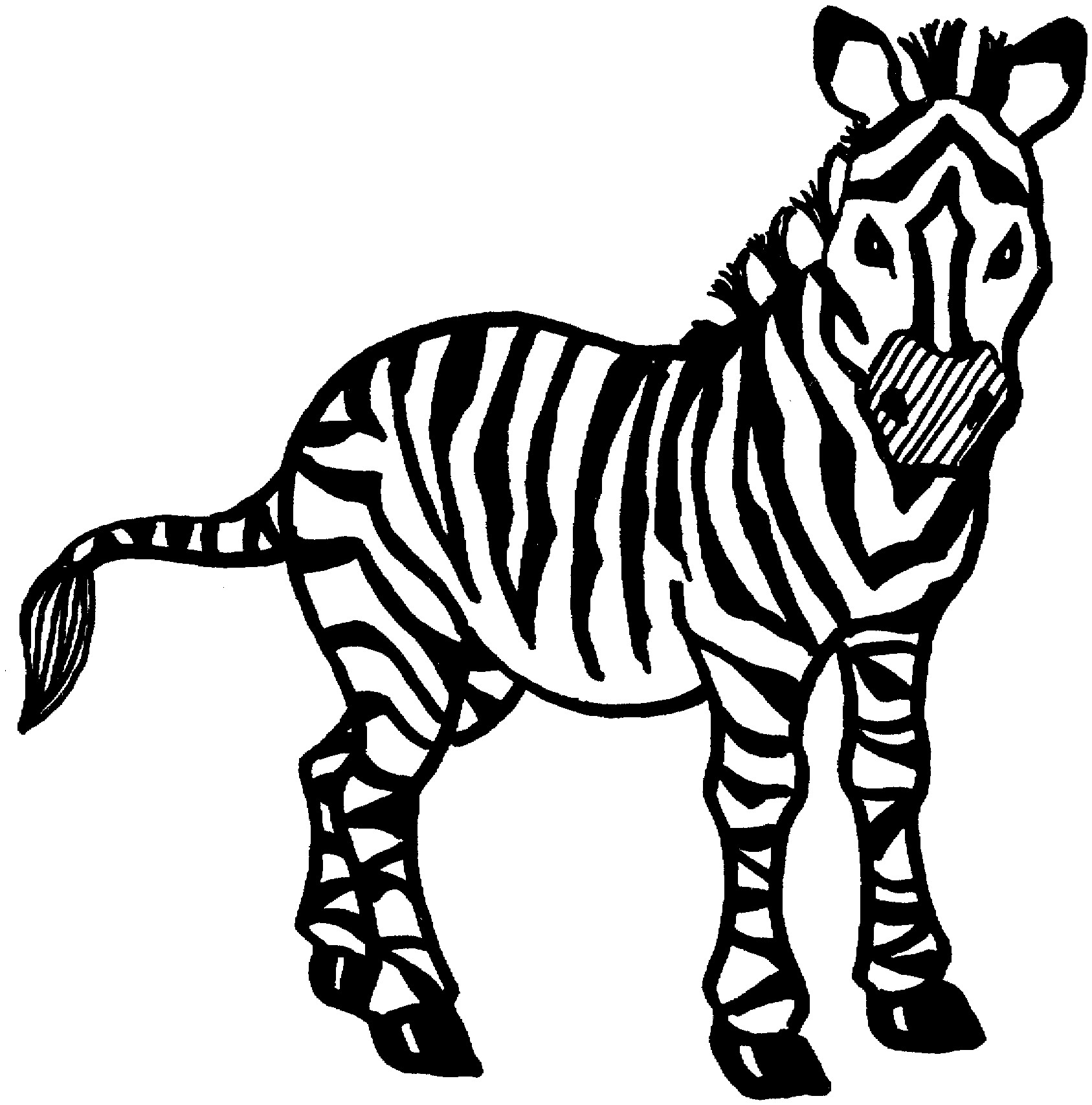 Zebra Coloring Pages Printable
 Zebra 57 Animals – Printable coloring pages